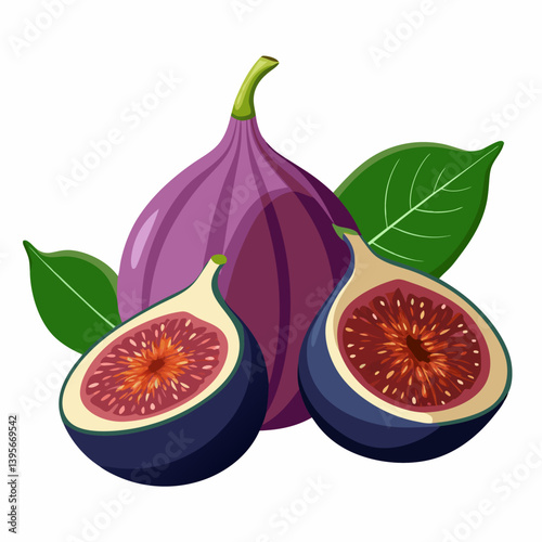 Fig isolated vector white background