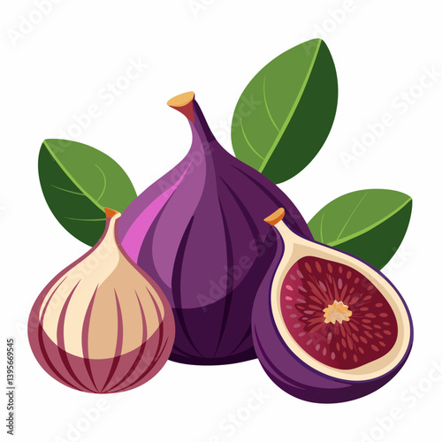 Fig isolated vector white background