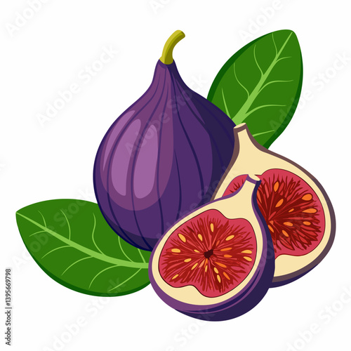 Fig isolated vector white background
