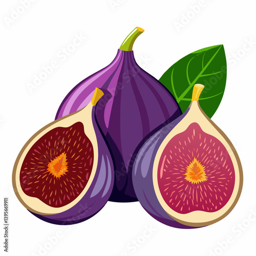 Fig isolated vector white background