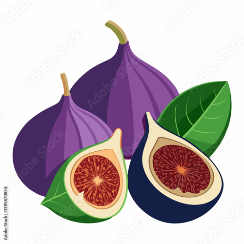 Fig isolated vector white background