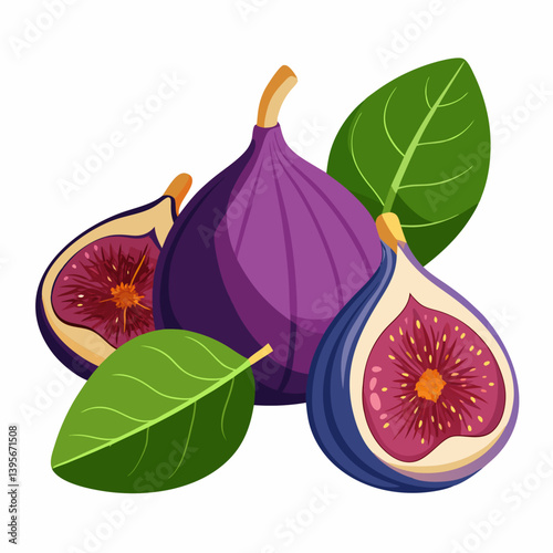 Fig isolated vector white background