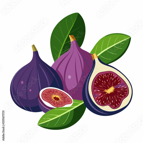 Fig isolated vector white background