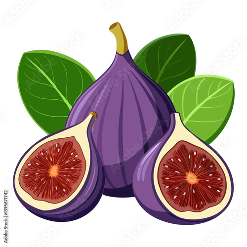 Fig isolated vector white background