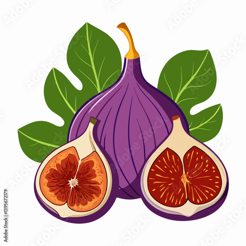 Fig isolated vector white background