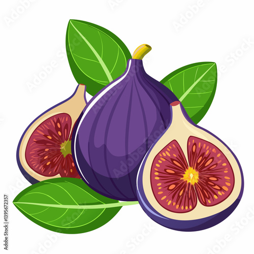 Fig isolated vector white background