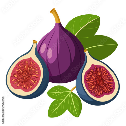 Fig isolated vector white background