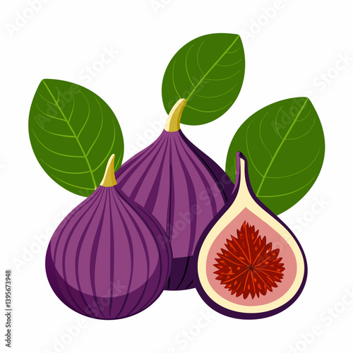 Fig isolated vector white background