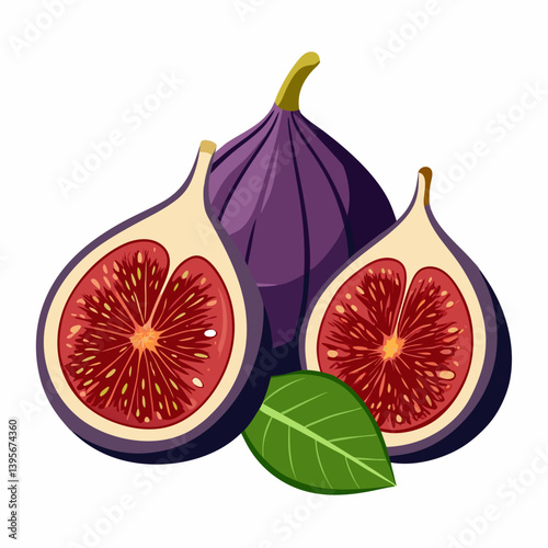 Fig isolated vector white background