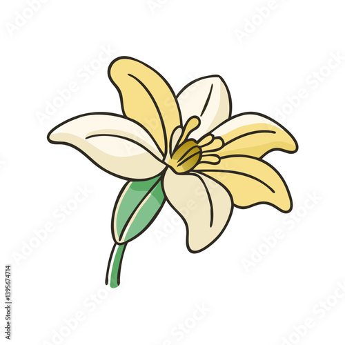 anemopsis yerba mansa flower icon, anemopsis yerba mansa flower vector illustration-simple illustration of anemopsis yerba mansa flower, perfect for anemopsis yerba mansa flower logos and icons