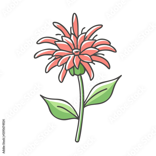bee balm flower icon, bee balm flower vector illustration-simple illustration of bee balm flower, perfect for bee balm flower logos and icons