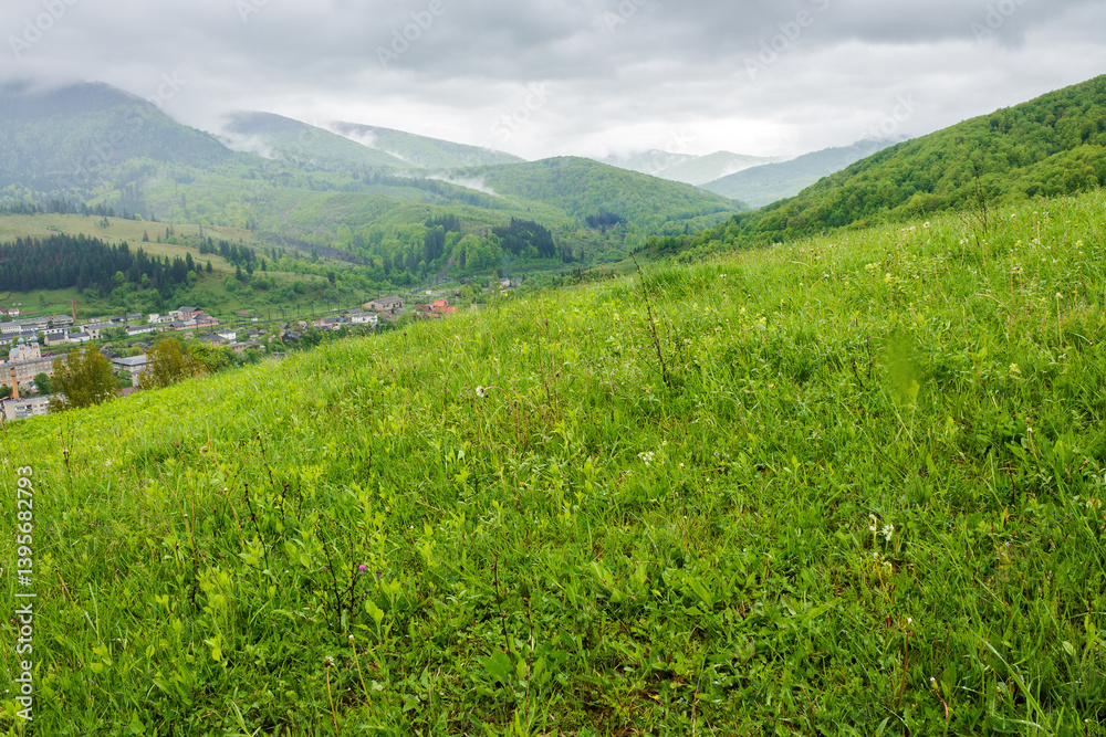 countryside mountain landscape in the rain. carpathian range. field with wet green grass near forest on the hill. view in to rural valley under sky with gray clouds in spring weather