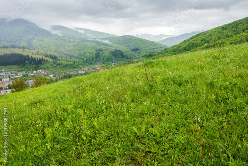 Obraz na płótnie countryside mountain landscape in the rain. carpathian range. field with wet green grass near forest on the hill. view in to rural valley under sky with gray clouds in spring weather w salonie