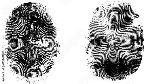 fingerprint or thumbprint set isolated on white.