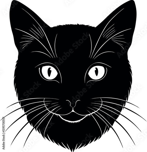 black and white cat