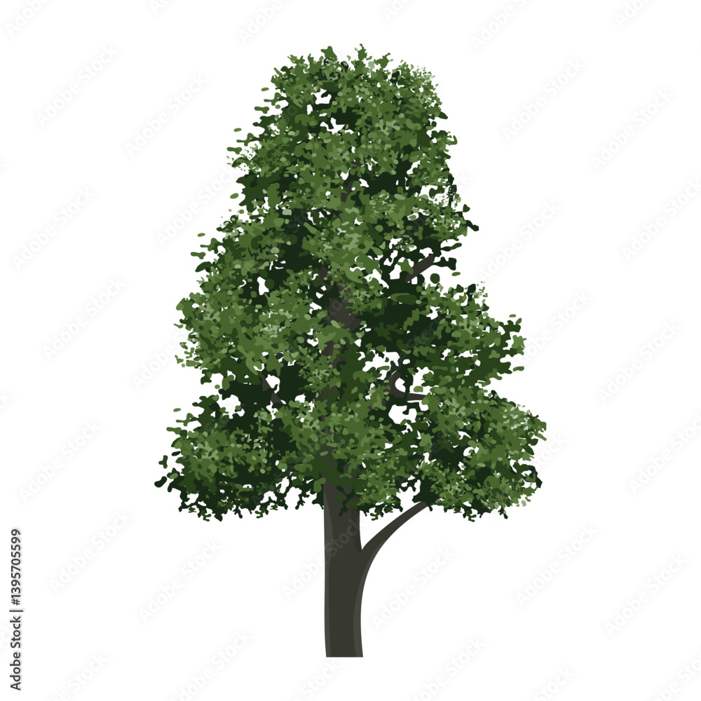 Big tree isolated on white background. Landscape object for outdoor graphic, architecture drawing, elements for environment and gardening. Vector illustration. Big tree isolated on white background. Landscape object for outdoor graphic, architecture drawing, elements for environment and gardening. Vector illustration.