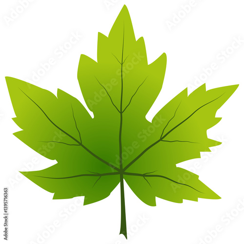 Autumn foliage maple leaves on isolated transparent background.