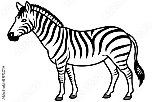 Minimalist Zebra Line Art on White Background