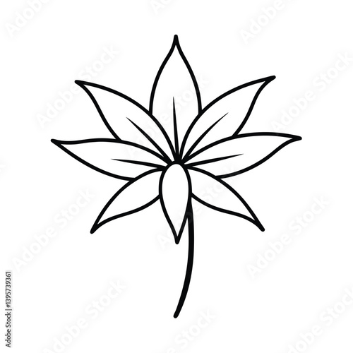 castor bean flower line art vector illustration