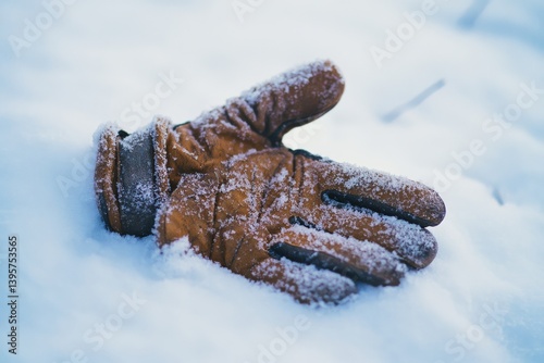 A solitary, weathered glove lies in the snow, hinting at lost warmth and forgotten labor on a frosty landscape. photo