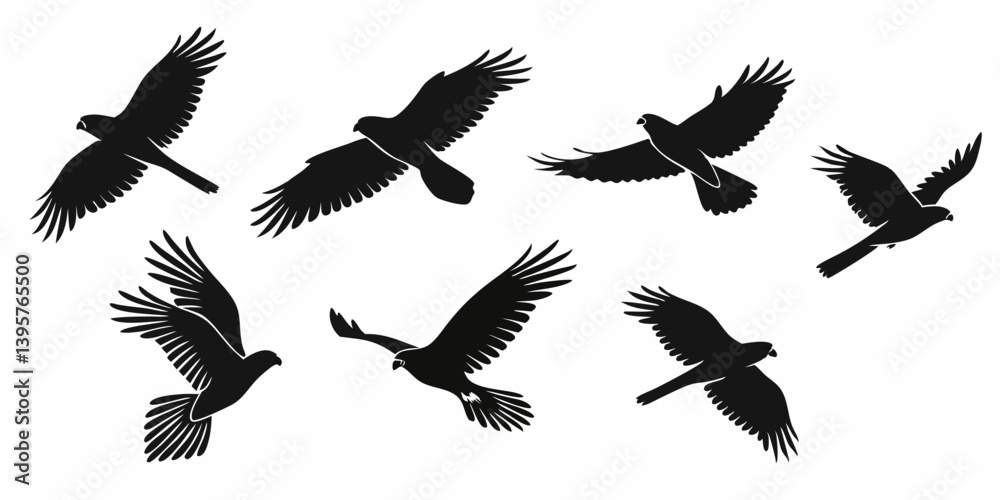 Obraz premium Black Silhouette Eagle Hawk Bird Flying Animation Sequence