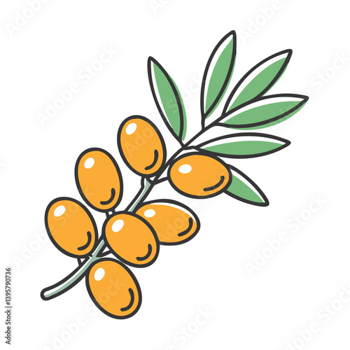 sea buckthorn icon, sea buckthorn vector illustration-simple illustration of sea buckthorn, perfect for sea buckthorn logos and icons