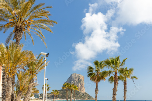Obraz na płótnie Calpe, Costa Blanca coast. Palm trees and Penon de Ifach hills. Sunny day. Spain w salonie