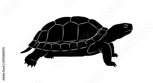 Silhouette of a Tortoise Elegant Black and White Reptile Illustration
