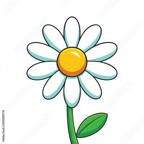daisy flower isolated on white background