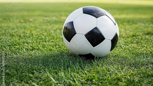 Soccer ball resting on green grass field, sunny background