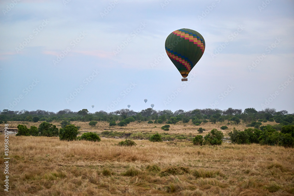 Obraz premium hot air balloon