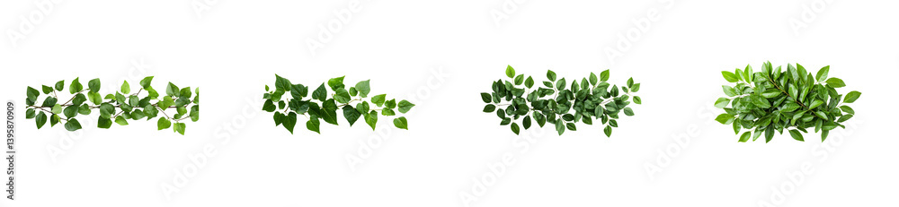 Lush foliage borders on black background, cut out transparent Lush foliage borders on black background, cut out transparent