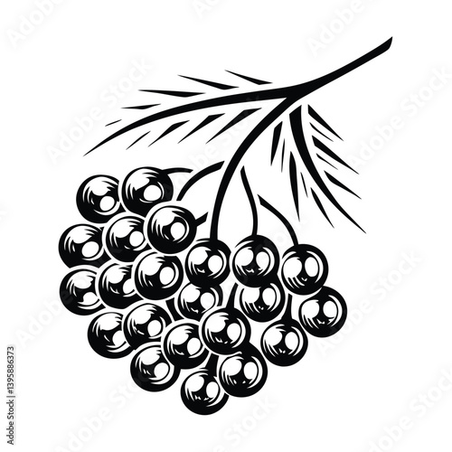 Monochrome Stylized Elderberry Branch, Black and White Silhouette, Floral Design, Berry Bunch
