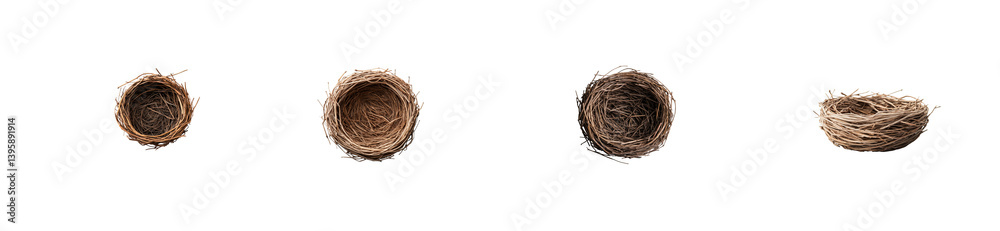 Four empty bird nests, nature, wildlife habitat, isolated elements, cut out transparent Four empty bird nests, nature, wildlife habitat, isolated elements, cut out transparent