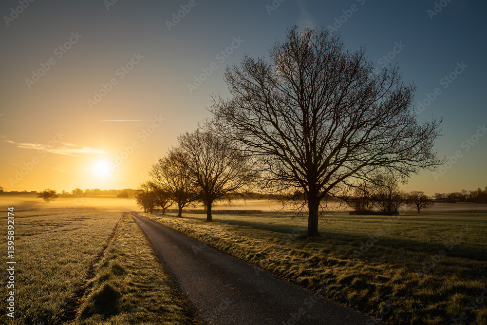 Stunning sunrise and rural road Norfolk UK Stunning sunrise and rural road Norfolk UK