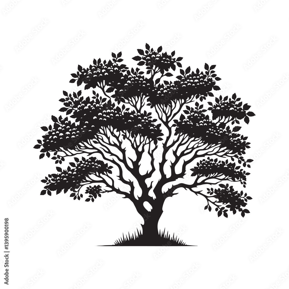Obraz premium Hawthorn Tree Silhouette - Tree Vector - Hawthorn Tree Illustration - Hawthorn Tree Art.