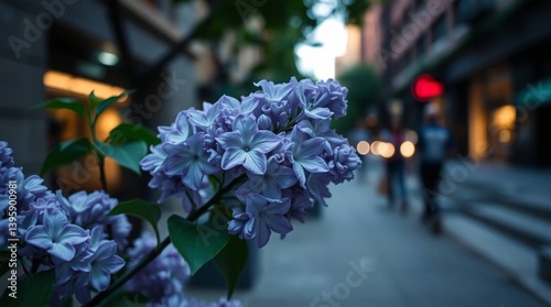 Candid street photography featuring a close-up of lilac flowers in an urban setting, soft diffused light, subtle shadows, and a gentle, soft illumination.