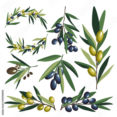 Collection of Branches with Green and Black Olives