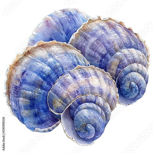 Escargots De Bourgogne, watercolor vector, isolated on a white background.