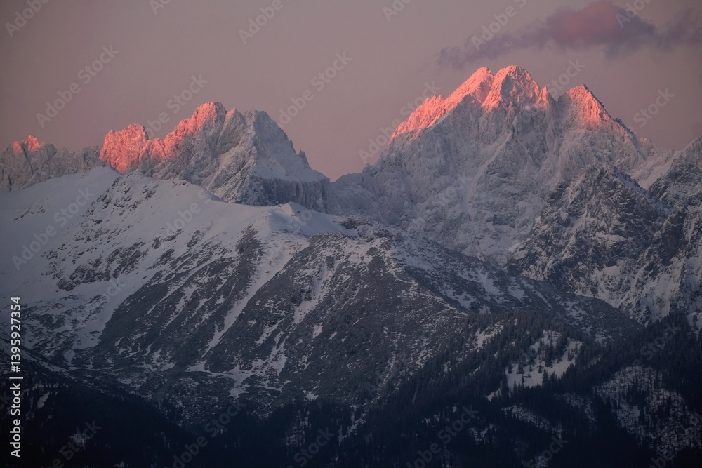 The snow-capped peaks of the High Tatras mountains (with Vysoka and Ganek) in sunrise light from viewpoint Pass over Lapszanka (Pass over Łapszanka), Podhale, Poland