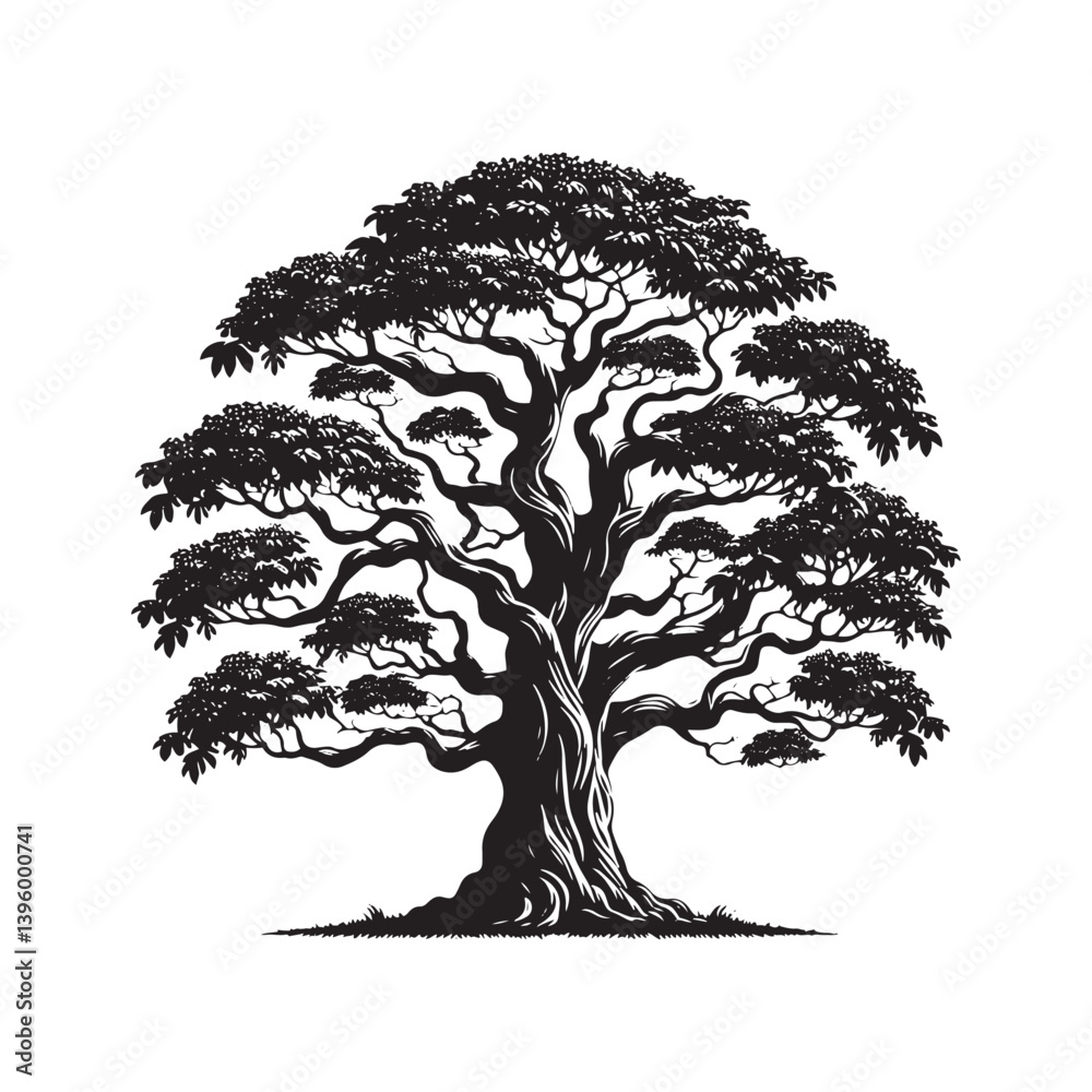 Fototapeta premium Kentucky Coffee Tree Vector - Kentucky Coffee Tree Silhouette - Kentucky Coffee Tree Art - Kentucky Coffee Tree black and white design.