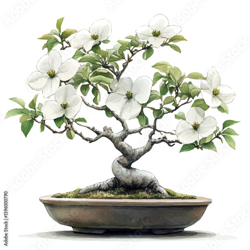 Dogwood Bonsai, watercolor illustration, isolated on a white background.

