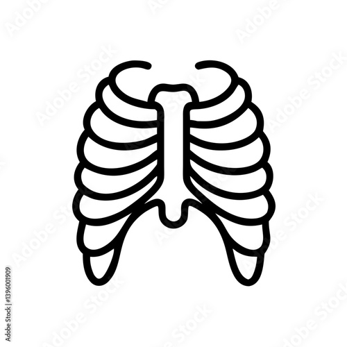 ribs