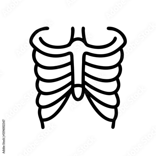 ribs