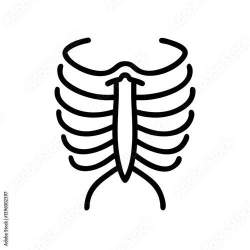 ribs