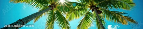 Low angle view of palm tree, Maldives Lush tropical foliage , background, scenic, nature