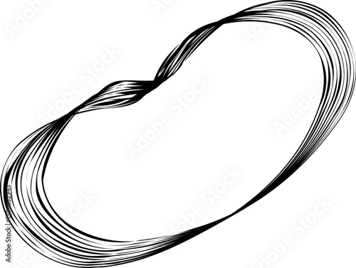 Irregular ring composed of flowing curved lines mimicking natural forms and creating a circular organic shape.