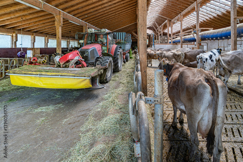 Obraz na płótnie Heumilch - Frisches Gras wird mit einem Ladewagen auf der Futterdiele eines hellen Rindviehstalles abgeladen. w salonie