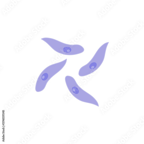 Toxoplasma gondii  bacteria. Vector illustration 