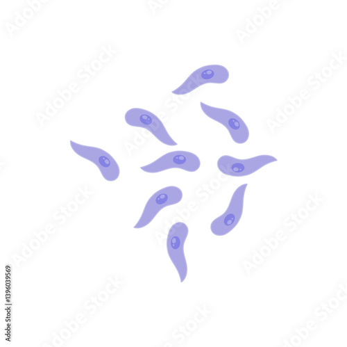 Toxoplasma gondii  bacteria. Vector illustration 